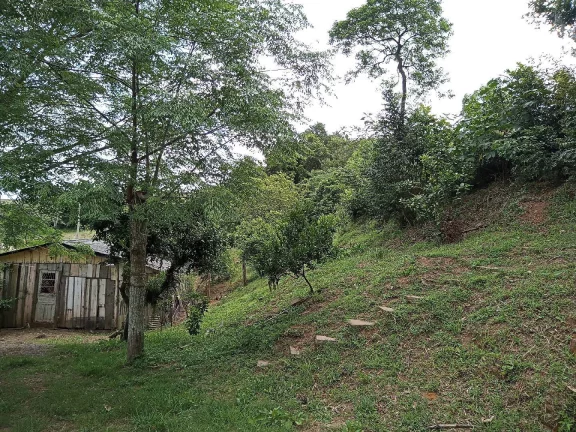 Imagem Sítio Rural com 3.6 hectares, açude, localizado no Capão da porteira