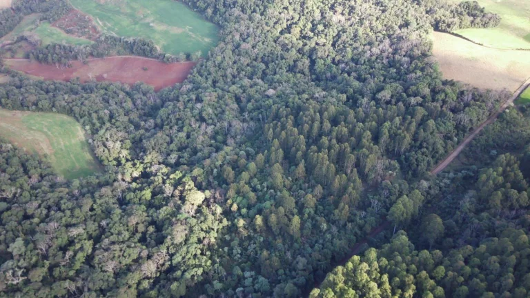 Imagem Terreno para Venda em Concórdia, Interior