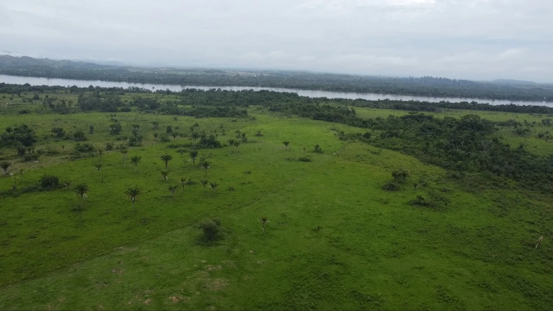 Imagem Fazenda à Venda, 90024 Alq. GO em São Félix do Xingu - São Félix do Xingu