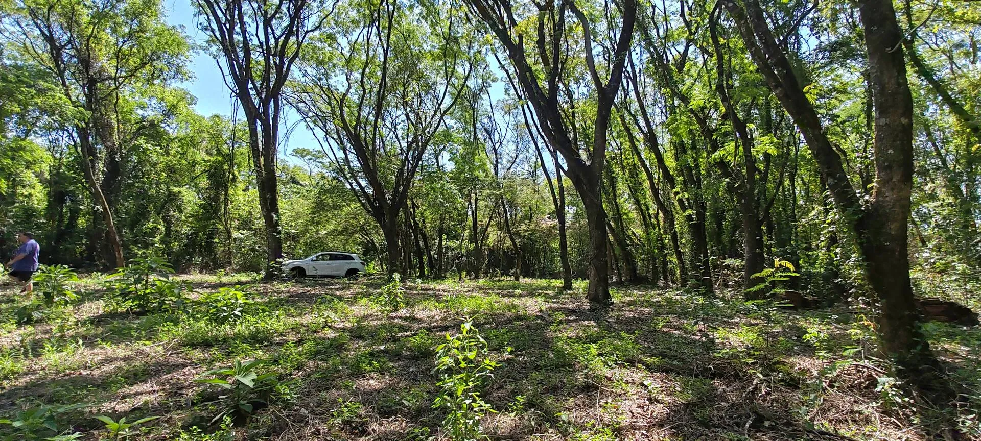 Imagem Chácara a venda em Cascavel, com 2,0992 hectare cada uma e matrícula indiviauais.