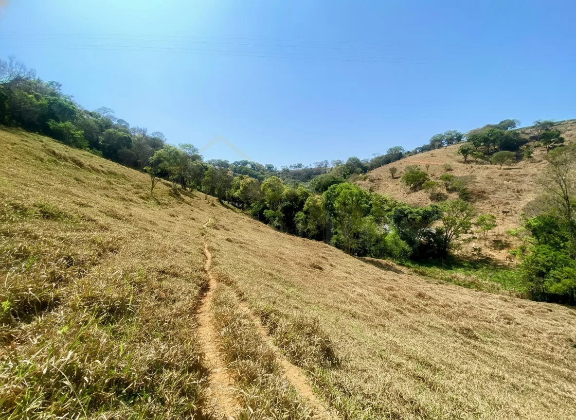 Imagem Sítio 2,42 ha à venda em Correias, Bandeira do Sul