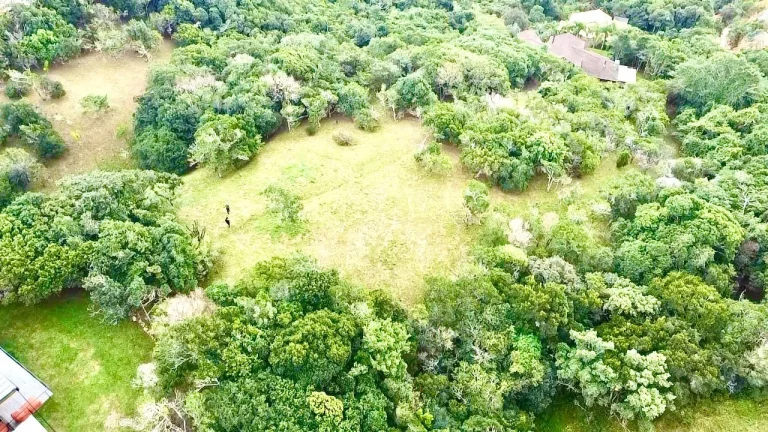 Imagem Terreno à venda em Garopaba-SC, na Praia da Silveira, com 4.908,00 m² de área! Aproveite essa oportunidade única!