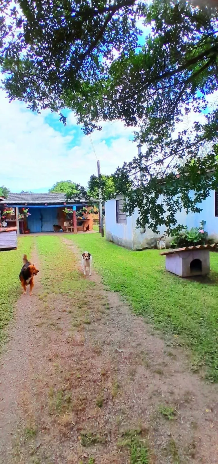 Imagem Terreno no Bairro Ponta Grossa