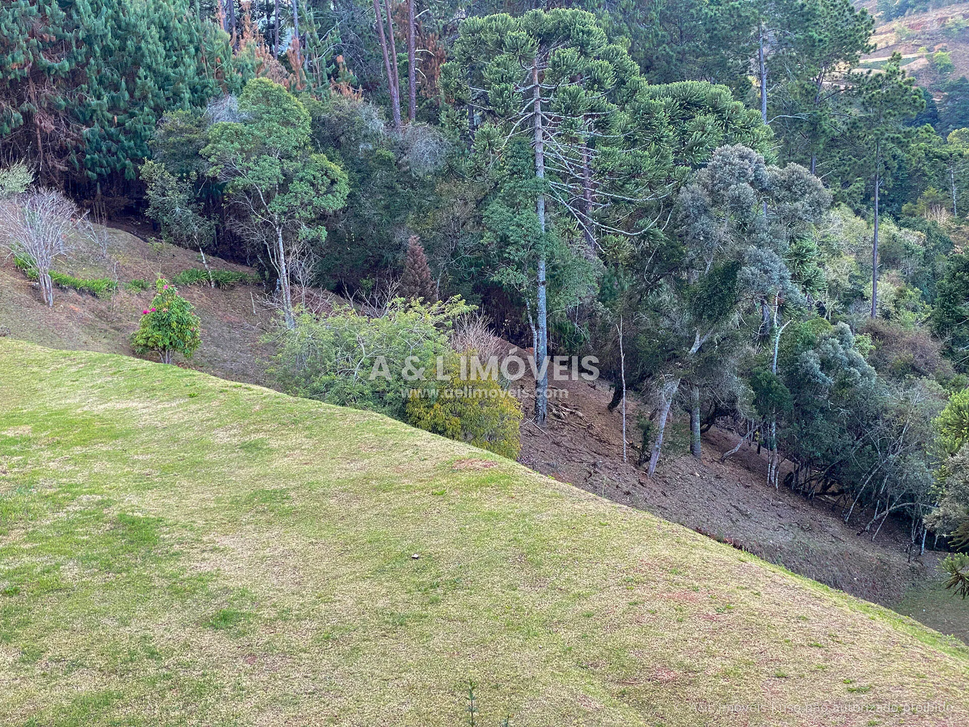 Imagem Terreno em Campos do Jordão | Capivari, 6.111 m² e Vista Panorâmica