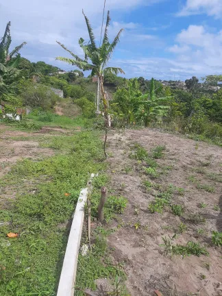 Imagem Terreno à Venda, 450 m² em Jacumã - Conde