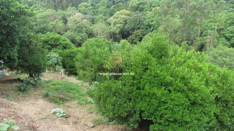 Imagem Terreno para Venda em Ipumirim, Rural