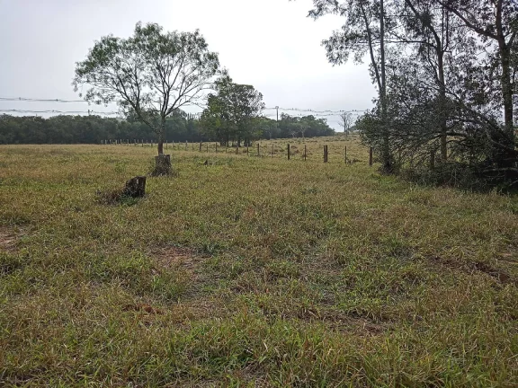 Imagem Lindos Terrenos residenciais, Águas Claras / Viamão