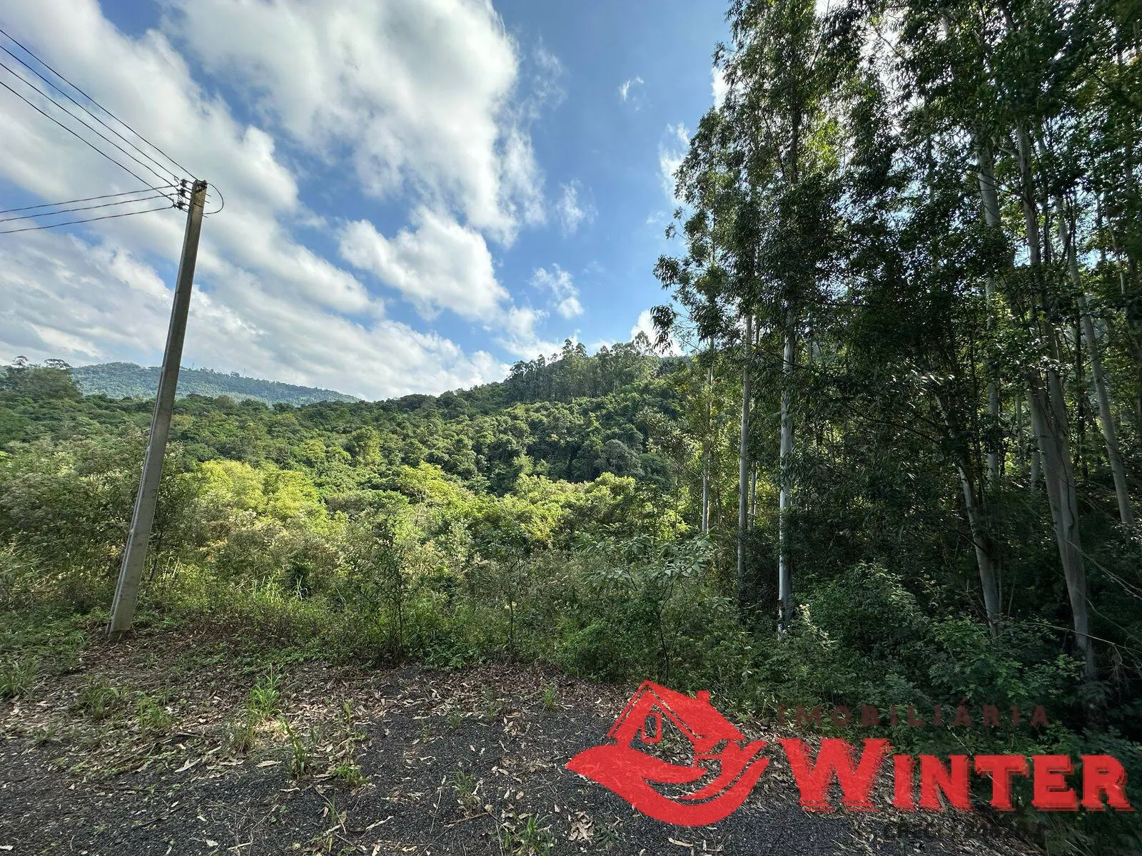 Área com 2162 m2 em São Vendelino