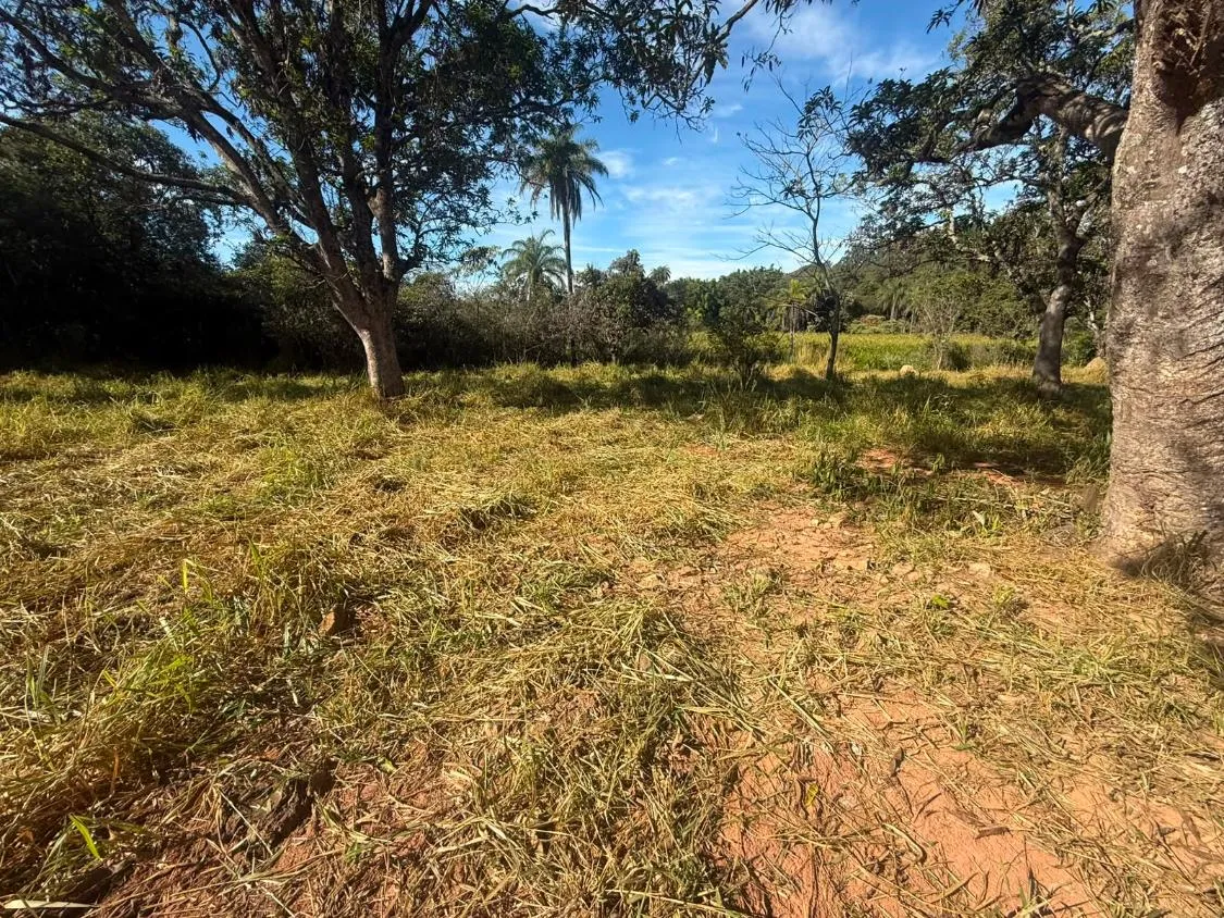 Imagem FAZENDA À VENDA EM CARMÓPOLIS DE MINAS /Área total: 315 hectares