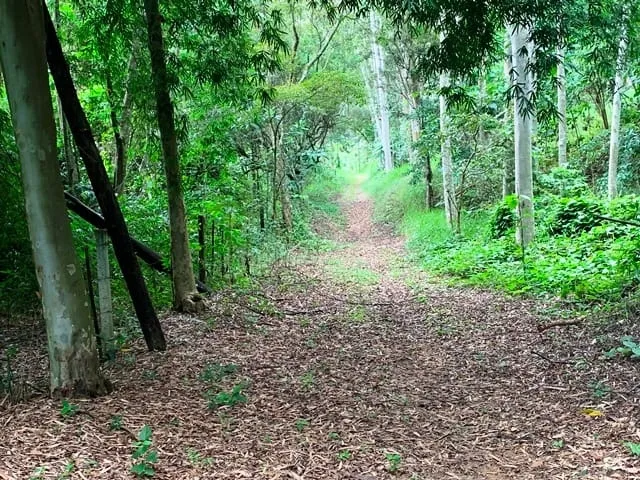 Imagem Chácara à venda 994000M², Barreiro, Aparecida - SP
