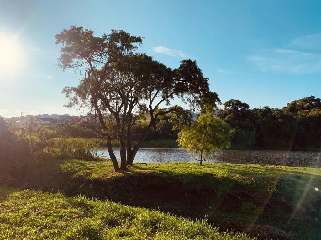 Imagem Terreno de 318m² no Residencial Jardim Helena Maria.