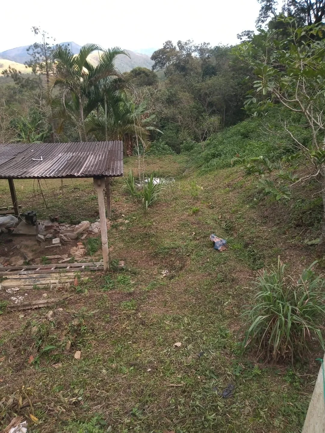 Imagem Chácara à venda 2 Quartos, 4 Vagas, 26000M², Bairro das Oliveiras, Pindamonhangaba - SP