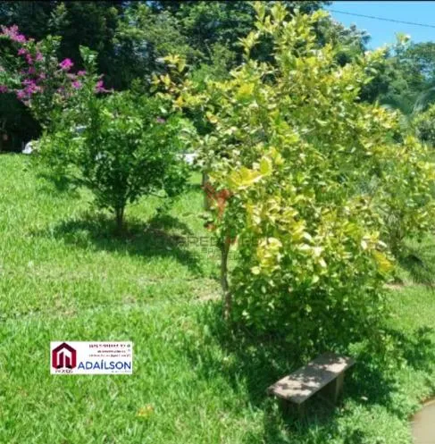Imagem UMA LINDA CHACARA, A 1 KM DO ASFALTO EM SANTO AMARO DA IMPERATRIZ SC