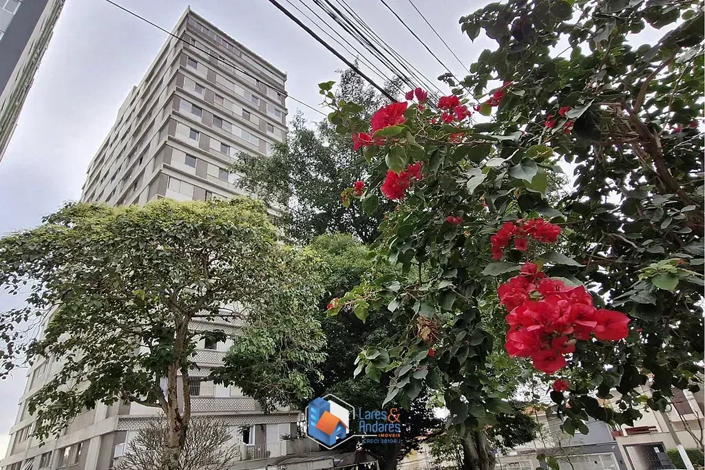Imagem Apartamento à venda 3 Quartos 1 Vaga 91M² Planalto Paulista São Paulo - SP