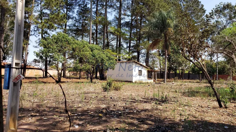 Imagem Terreno Padrão