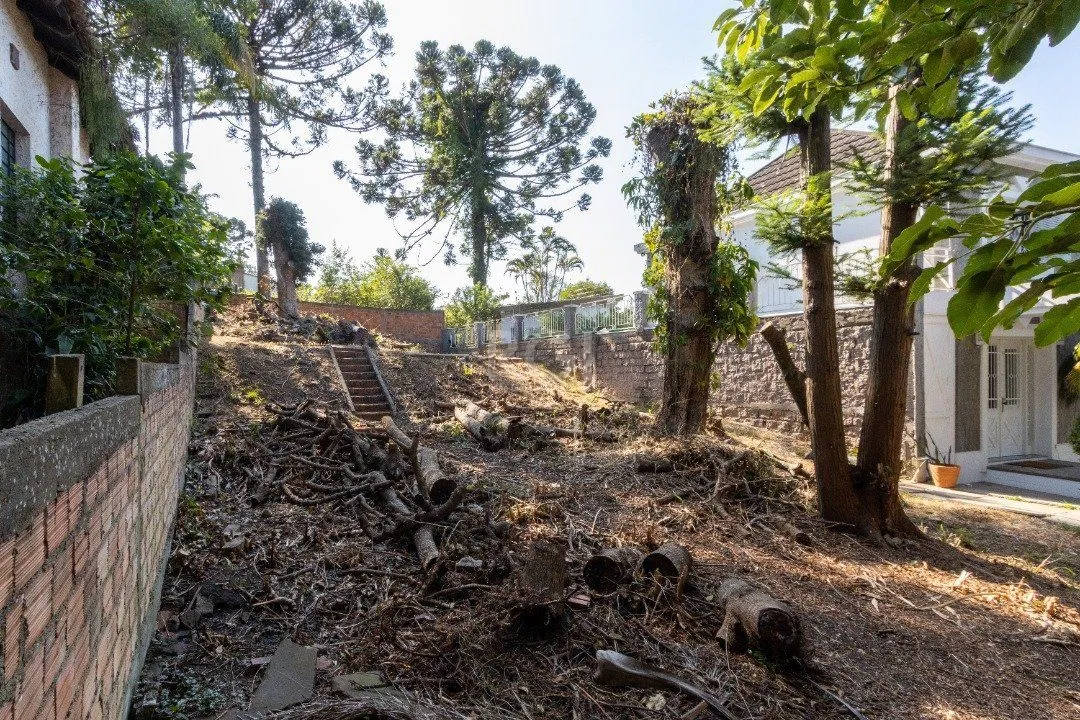 Imagem Terreno em Tristeza