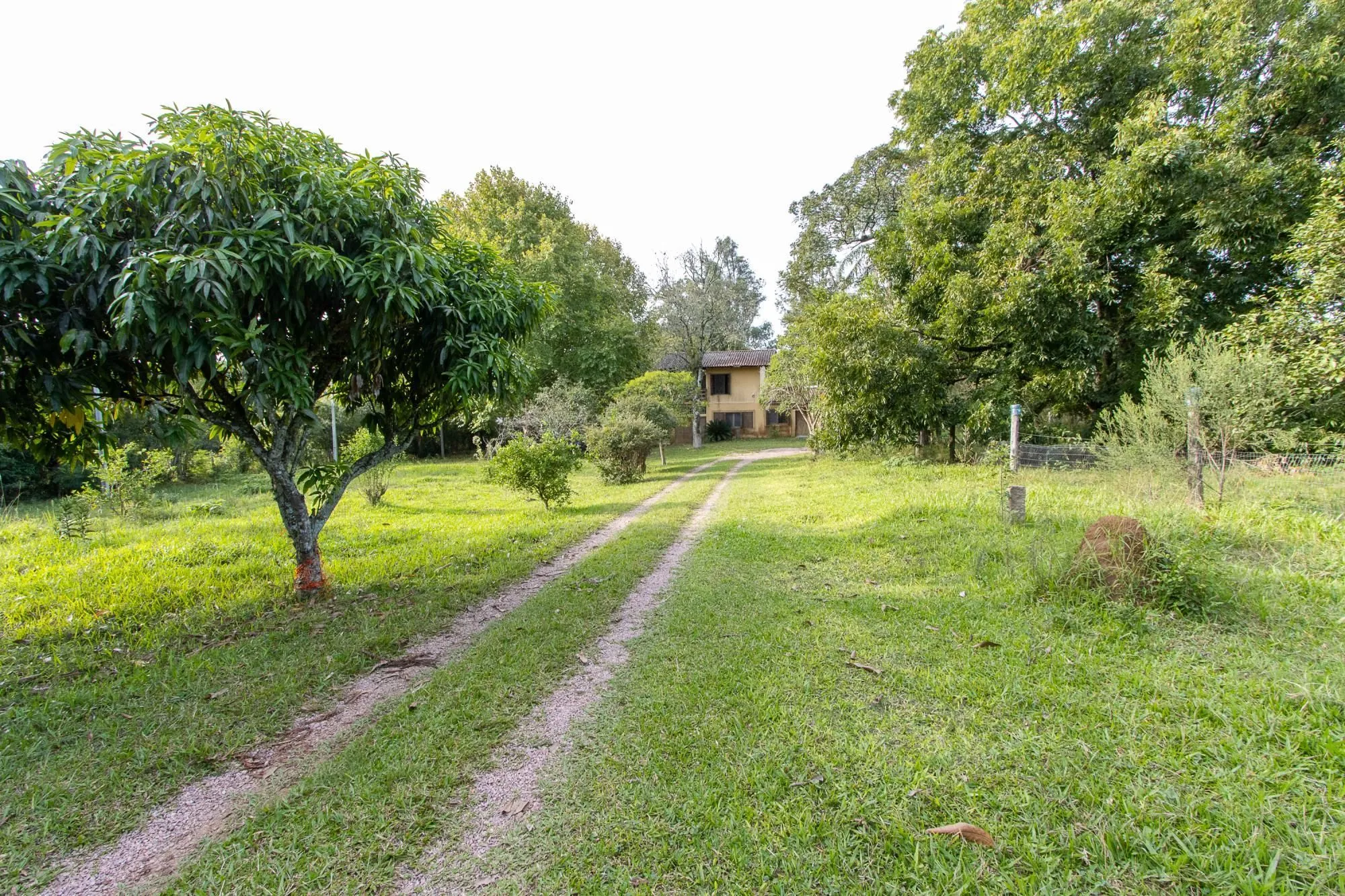 Imagem Área medindo 33.426m²!