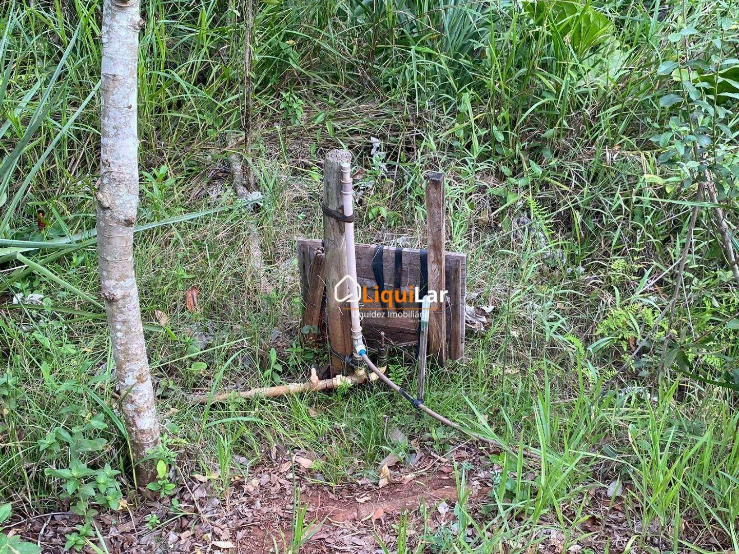 Imagem Chácara com 2 Hectares, Córrego e Dois Tanques de Peixe em Campo Grande/MS