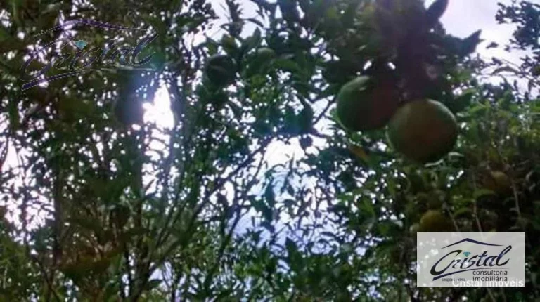 Imagem Chácara Rural à venda, Santana, Cotia - .