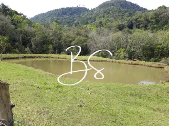 Imagem SITIO RURAL em CANELA - RS, Linha São Paulo
