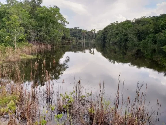 Imagem Oportunidade de adquirir uma grande área , em Rio Preto da Eva . com 15 mil hectares , escriturado e registrado
