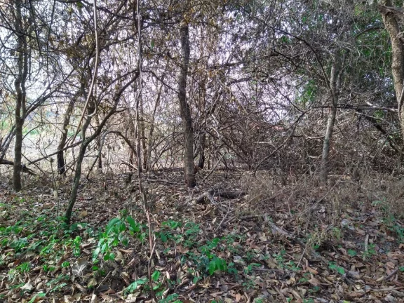 Imagem Terreno com 3.000m² no povoado São José - Barreiras /Ba