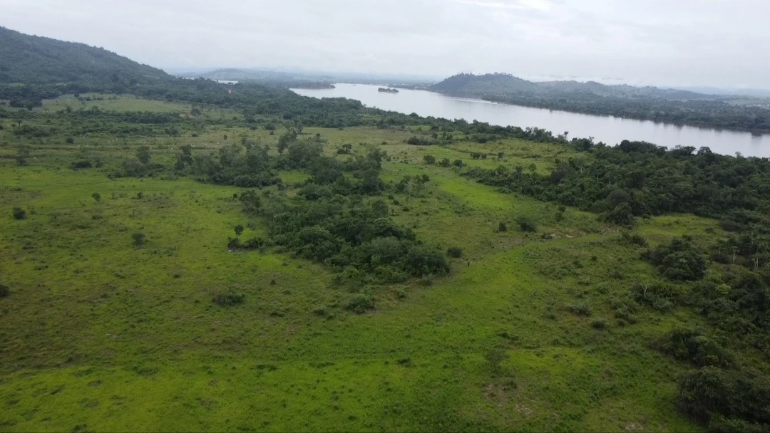 Imagem Fazenda à Venda, 90024 Alq. GO em São Félix do Xingu - São Félix do Xingu