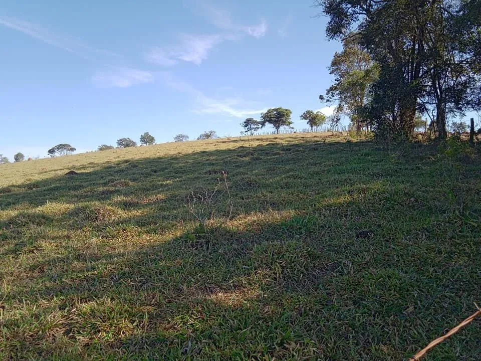 Imagem Vendo Excelente Fazenda em Bonfim/MG 90 hectares de terra
