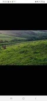 Imagem Terreno à Venda em Piedade dos Gerais / MG 15 hectares de área total