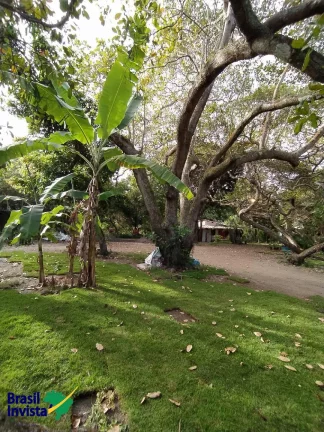 Imagem ÁREA EM ARRAIAL D'AJUDA