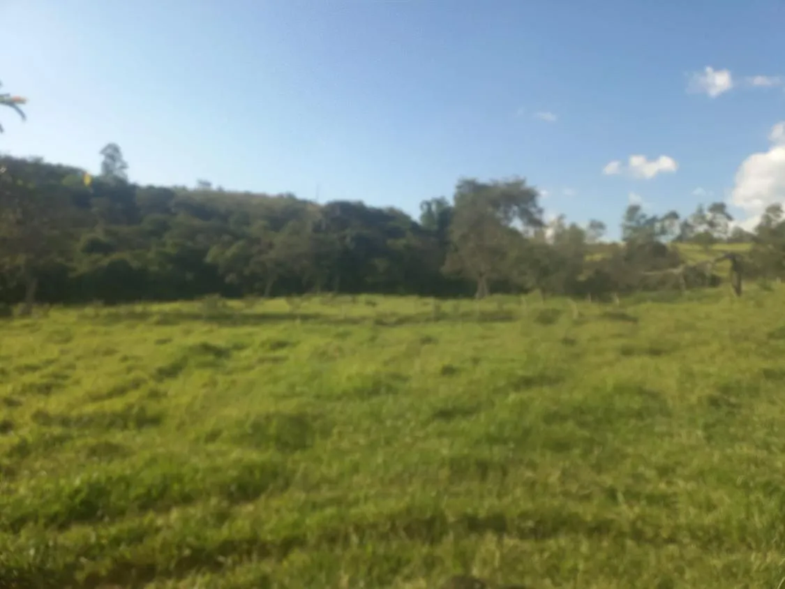 Imagem Excelente Terreno à Venda em Oliveira/MG: 34 Hectares com Boa Disponibilidade de Água