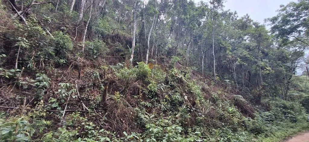 Imagem Terreno para Venda em Teresópolis / RJ no bairro Albuquerque