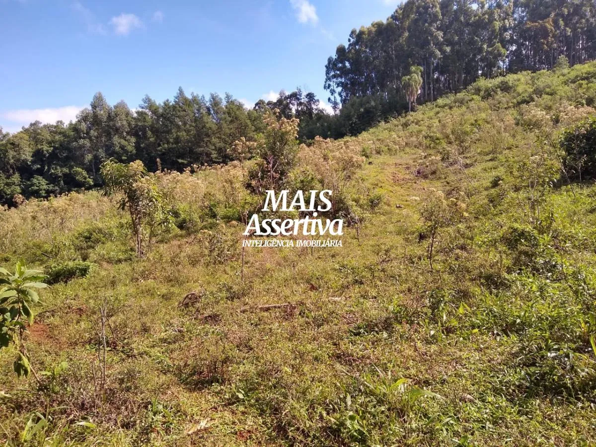 Imagem Chácara para Venda em Sapiranga / RS no bairro Bela-hú