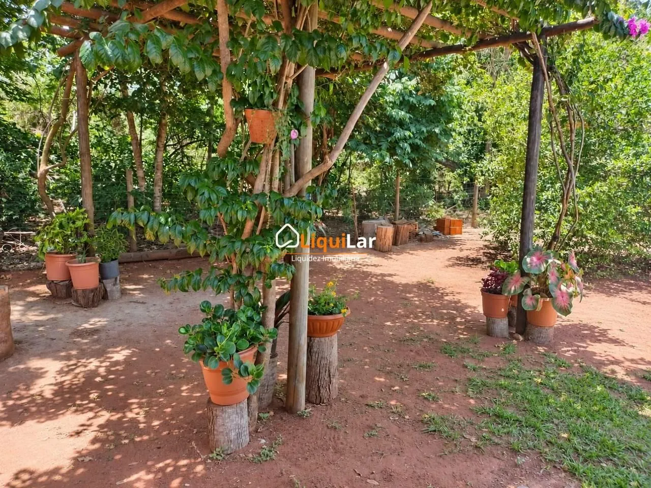 Imagem Rancho à Venda em Piraputanga | 3 Suítes, Piscina e Área Gourmet