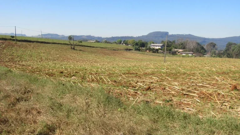 Imagem Terreno para Venda em Concórdia, Santo Antônio