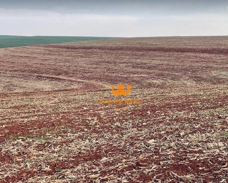 Imagem À Venda: Fazenda dos Sonhos em Santa Cruz do Rio Pardo - SP!
