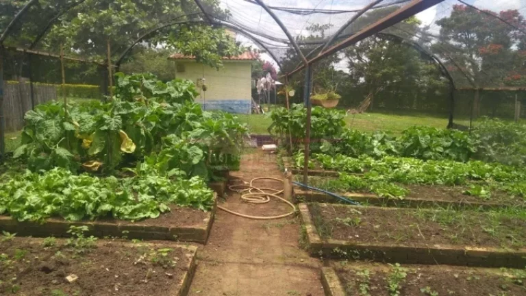Imagem Sitio a venda em Boituva