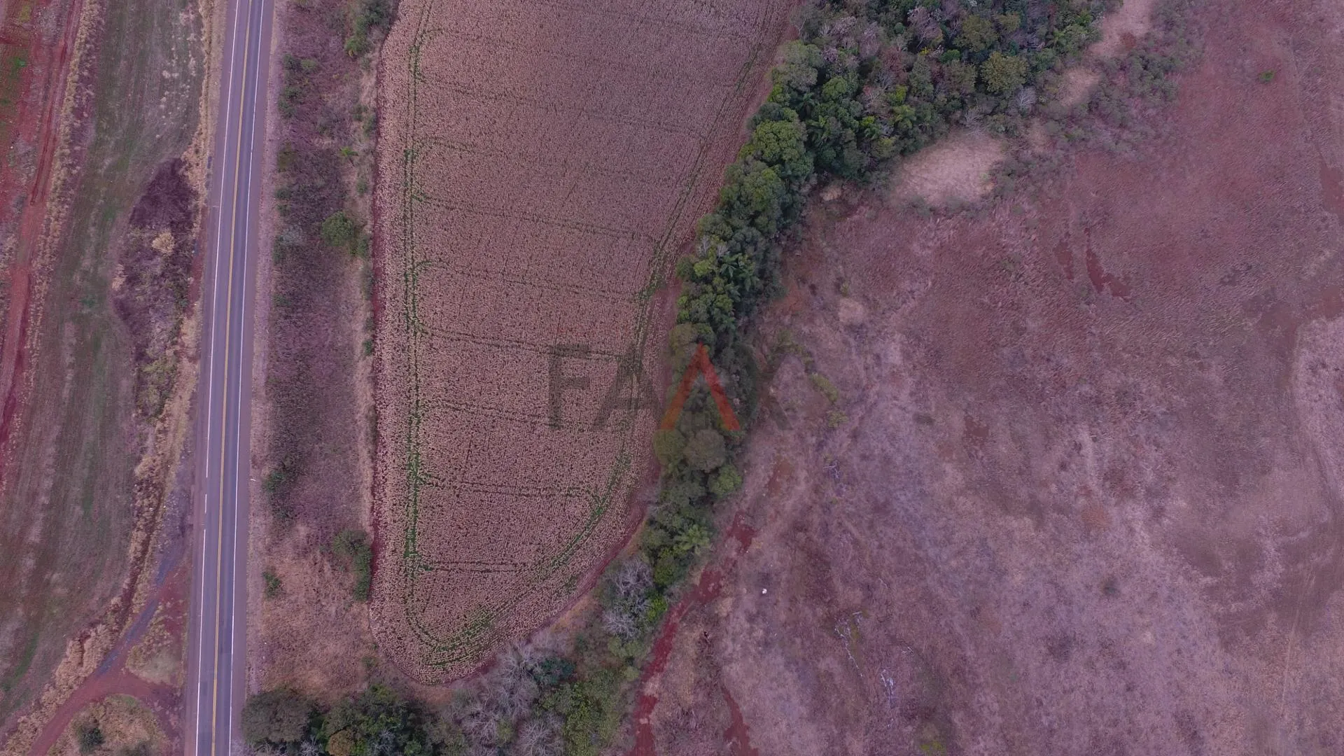 Imagem Chácara, ALAGADO, GUARAPUAVA - PR