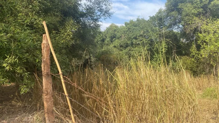 Imagem SÍTIO A VENDA EM ENGENHEIRO SCHIMIDT