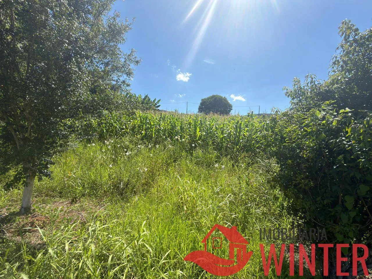 Foto do imóvel Terreno no Loteamento Terra Nobre, em Bom Principio