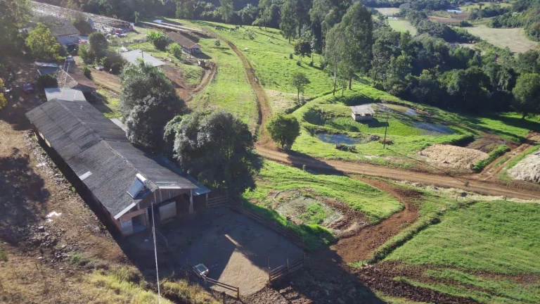 Imagem Fazenda para Venda em Concórdia, Interior