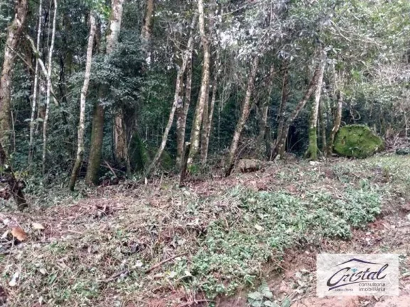 Foto do imóvel Terreno Residencial à venda, Caucaia do Alto, Cotia - .