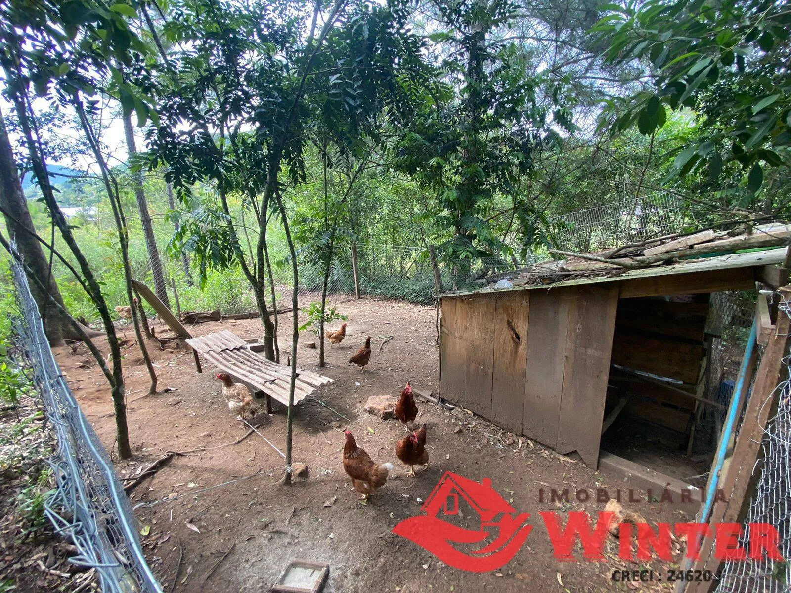 Imagem Área de terras com 6,3 hectares em São Roque, Feliz.