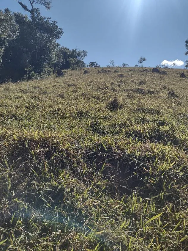 Imagem Vendo terreno em Crucilândia com 48 hectares de terra