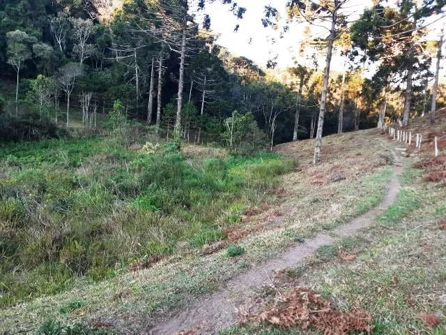 Imagem Chácara à venda 170000M², Paraibuna, Cunha - SP