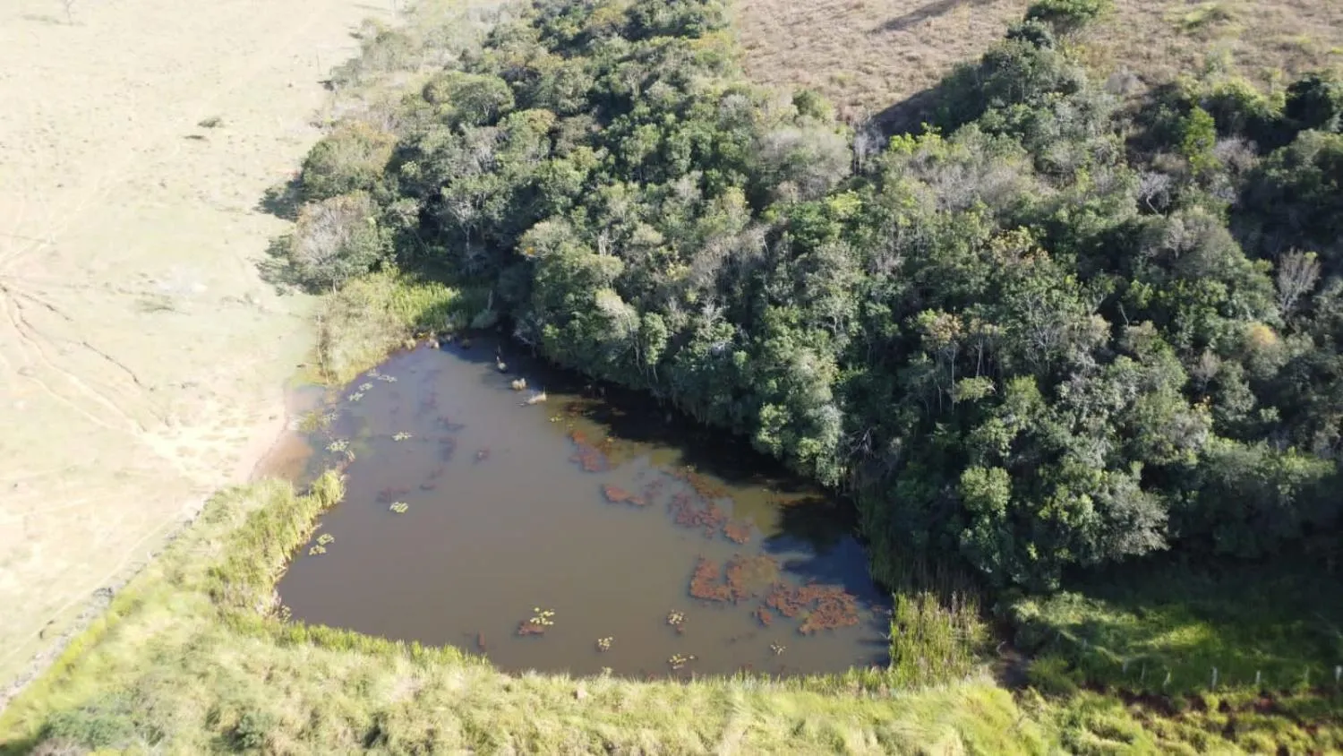 Imagem EXCELENTE TERRENO À VENDA EM OLIVEIRA MG | 16 HECTARES