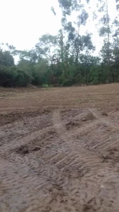 Imagem Terreno excelente a venda para Chácara com 8 mil m² no asfalto - em Quadra