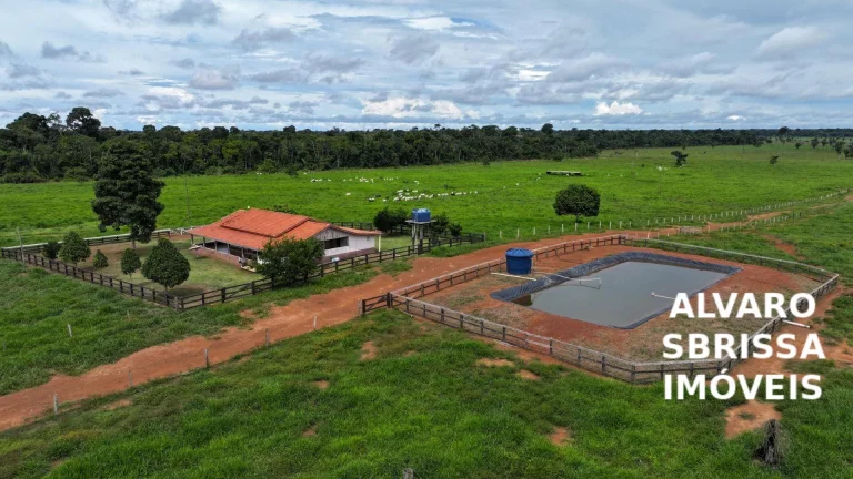 Foto do imóvel Vende/Permuta - Fazenda 390 Alqueires com Estrutura Completa a 120km de Porto Velho/RO