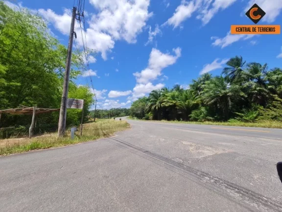 Imagem SITIO RURAL em CAMAÇARI - BA, JORRINHO