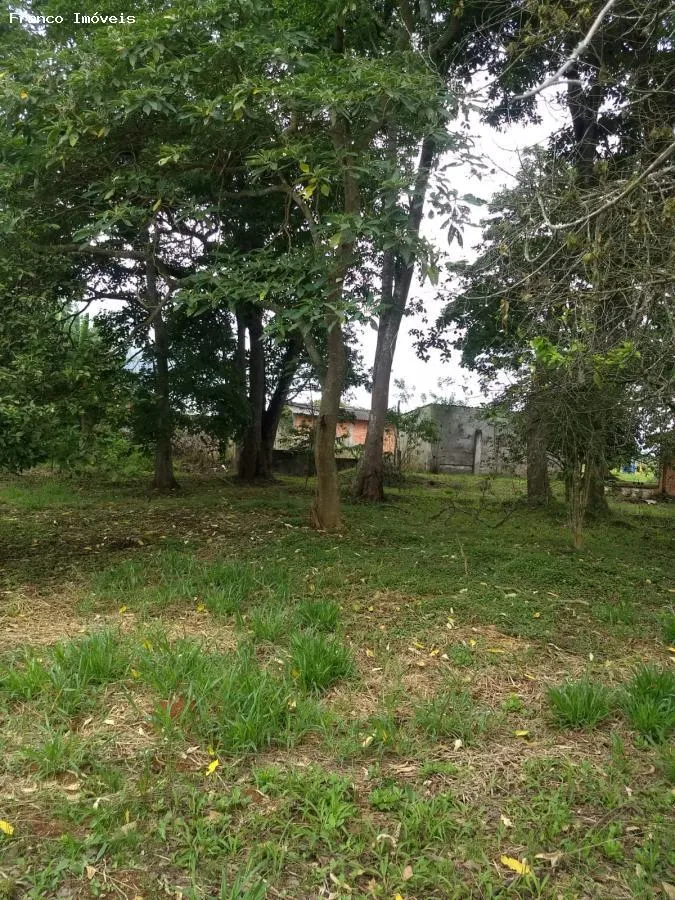 Imagem Sítio para Venda em Suzano, Ipelândia